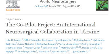 Co-Pilot Project in Scientific Journal